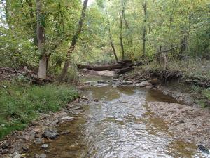 Little Valley Creek