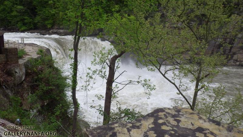 Cumberland Falls