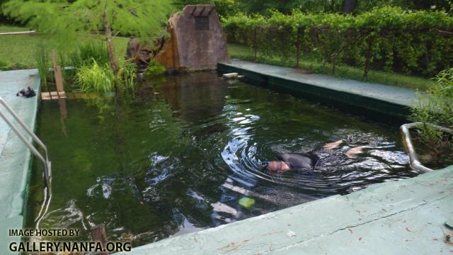 Cement Pond