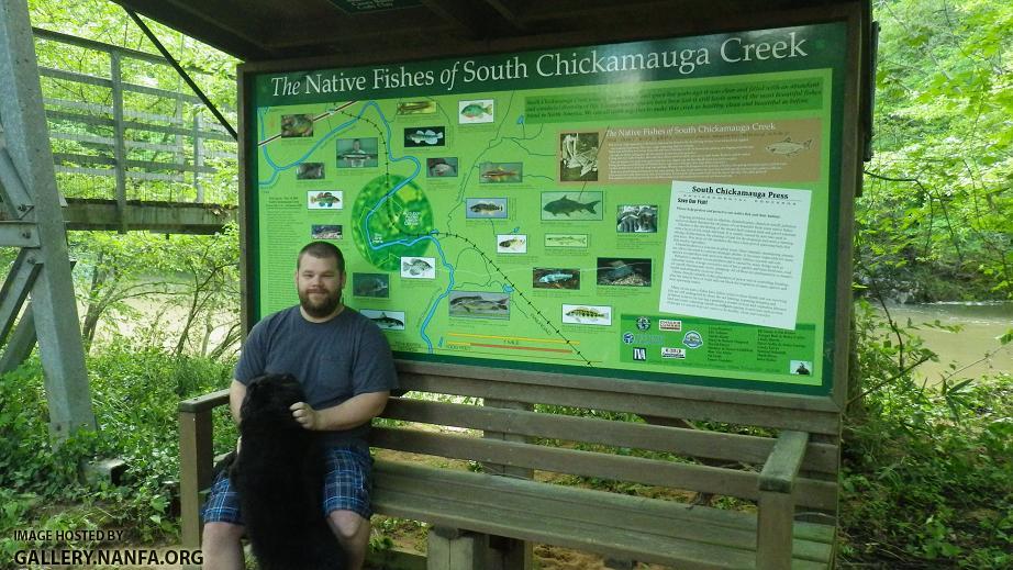 South Chick Fishes Sign