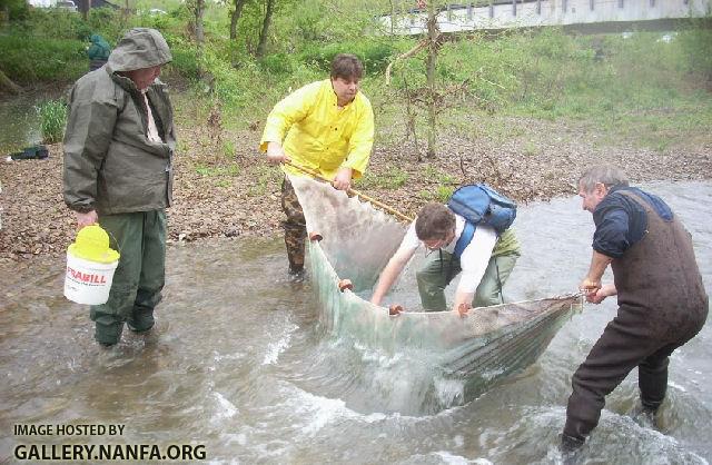 collecting rain