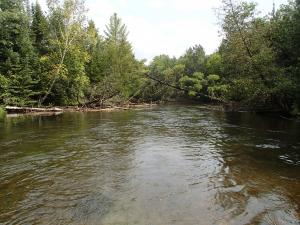 Au Sable River