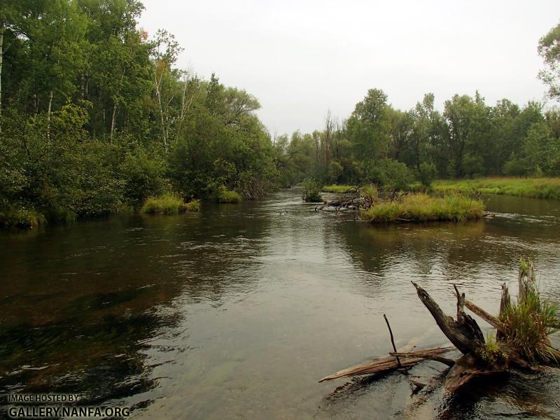 North Branch Au Sable River