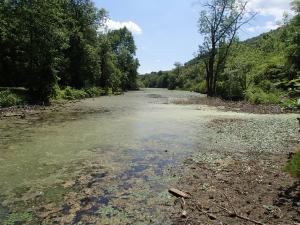 Old Erie Canal