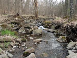 Boulder Creek