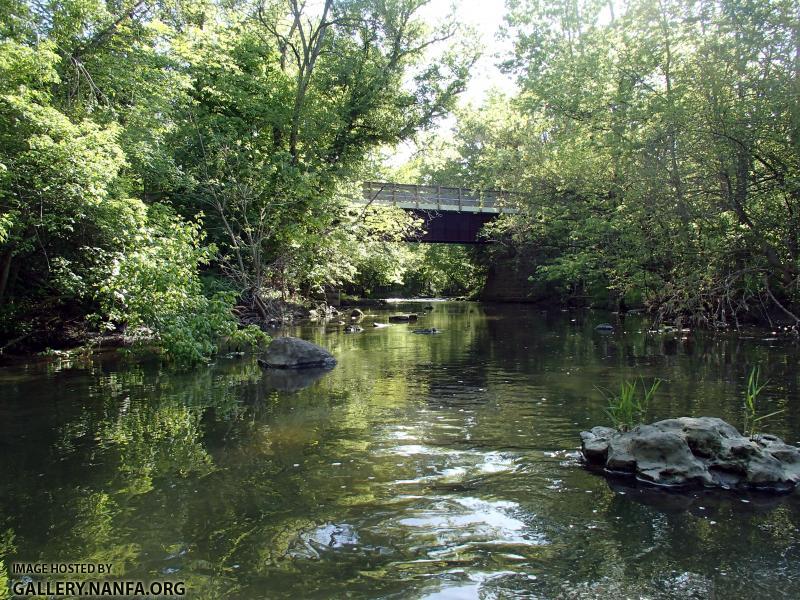 Muddy Creek