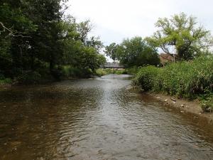 North Branch Portage River