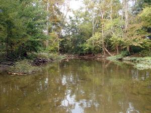 South Branch Portage River