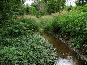 Unnamed Tributary to East Branch DuPage River