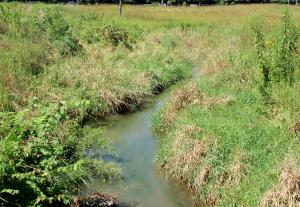 Willoway Brook