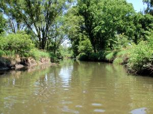 East Branch DuPage River