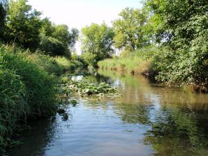 East Branch DuPage River