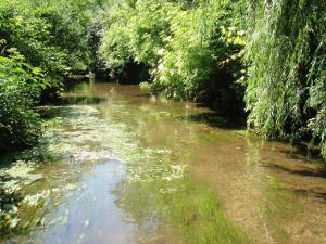 East Branch DuPage River