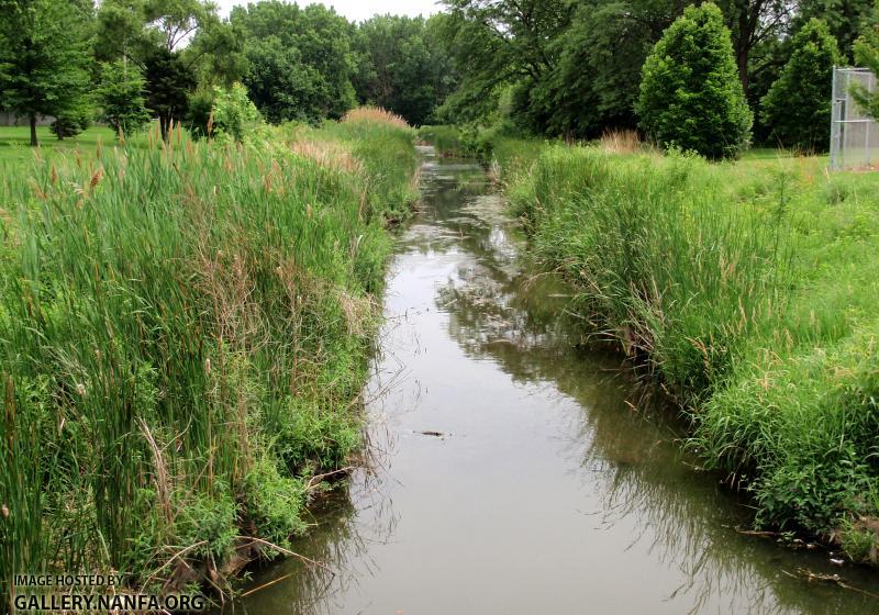 East Branch DuPage River