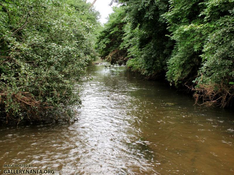 East Branch DuPage River