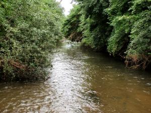 East Branch DuPage River