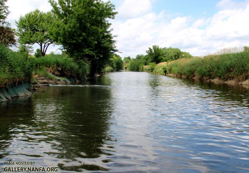 East Branch DuPage River