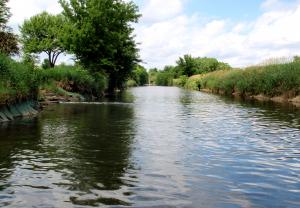 East Branch DuPage River