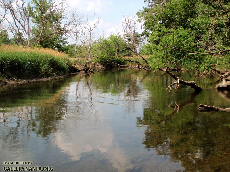 East Branch DuPage River