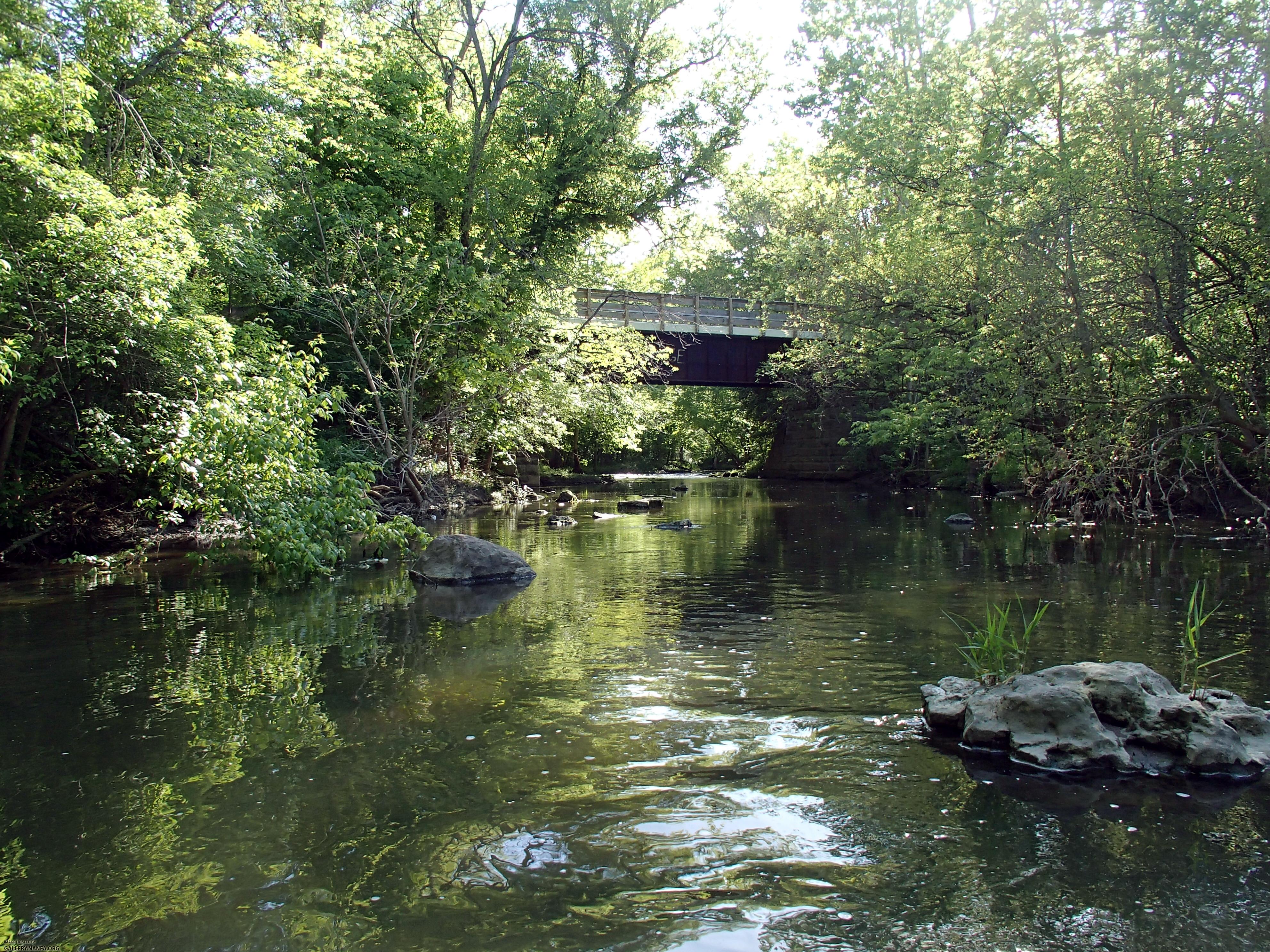 Muddy Creek