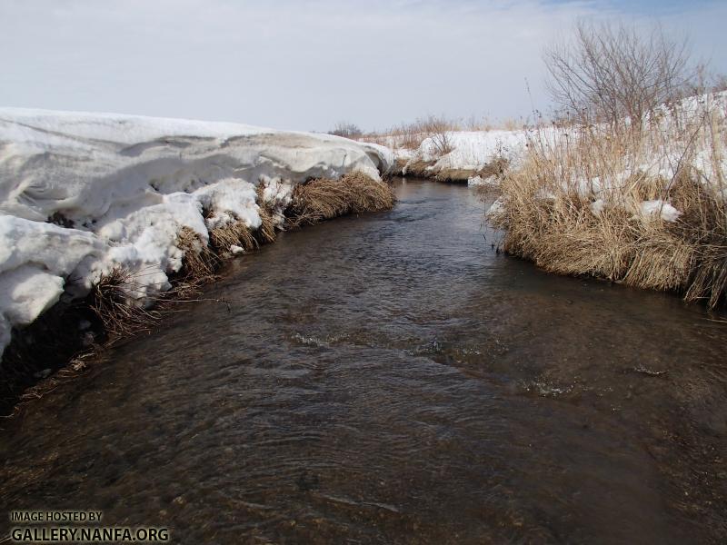 Little Pickerel Creek