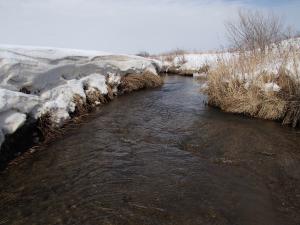 Little Pickerel Creek