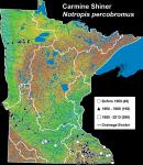 N_percobromus1b