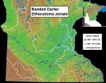 Distribution and Habitat