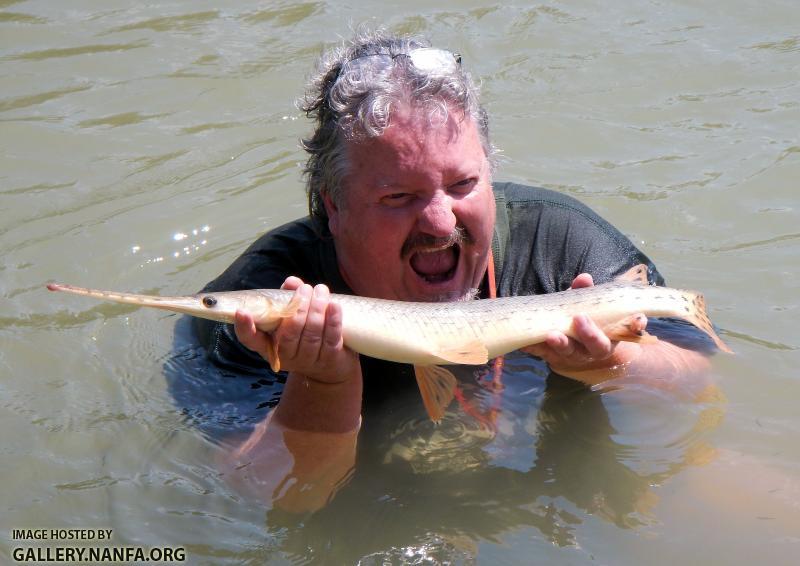 man eats gar