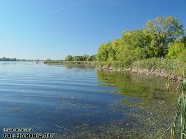 Bowfin - Amia calva habitat - Konrad Schmidt