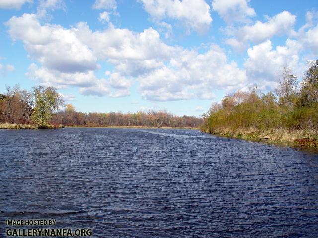 Bowfin - Amia calva habitat - Konrad Schmidt