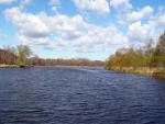 Bowfin - Amia calva habitat - Konrad Schmidt