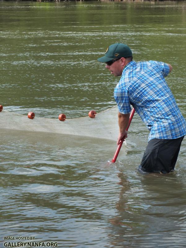 Seining on the river