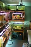 Fishroom