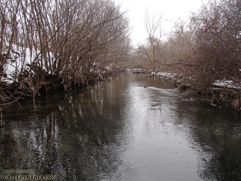 Cold Creek