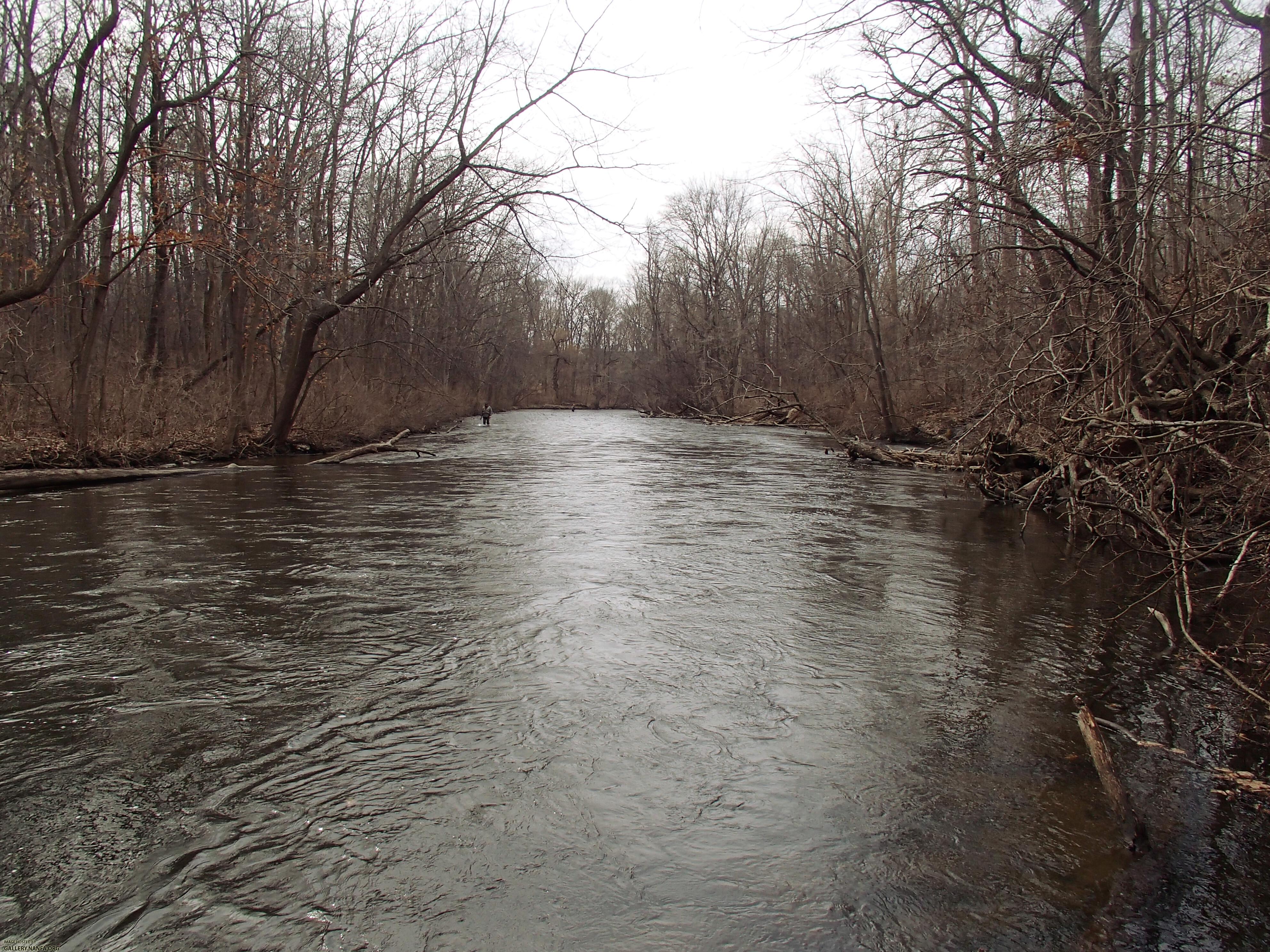 Dowagiac River