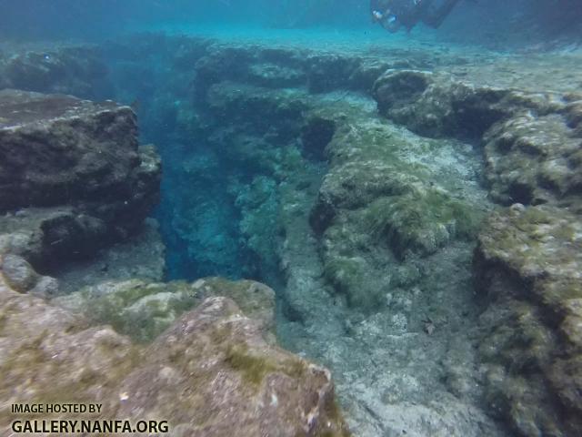 Devil's Ear Spring