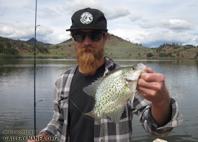 Leif's Black Crappie