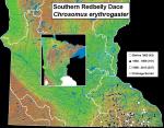 Distribution and Habitat