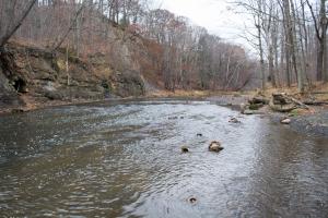 East Branch Rocky River