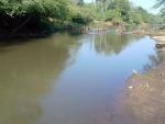 Hatchie River Pallid Shiner Site2