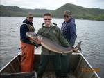 Lake Sturgeon - Acipenser fulvescens