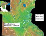 Distribution and Habitat