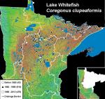 Distribution and Habitat