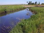 Plains topminnow site Kanaranzi Creek Lyon Co IA3