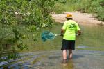 Bill stalking darters