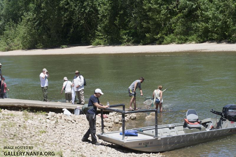 dipnetting boat ramp