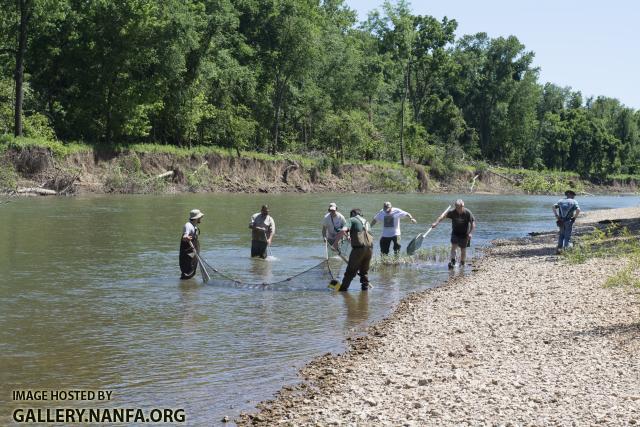 stomping the meramec