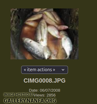 Screenshot from 2025-05-10 13-09-55