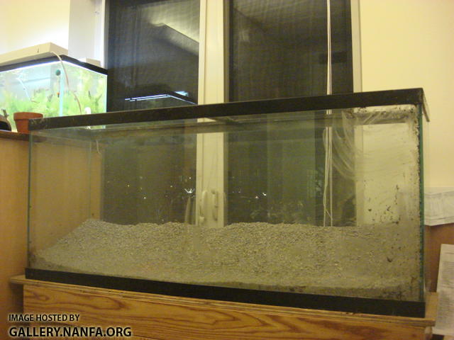 6 new substrate in empty tank